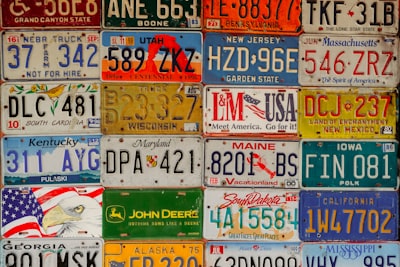 plaque d'immatriculation — license plate