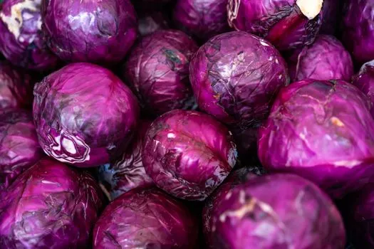 Помидоры — tomates