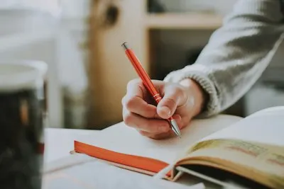 ¿podrías revisar? — könntest du durchsehen?