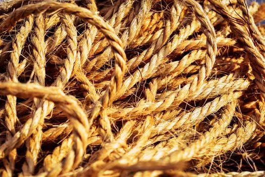 Коса — Plait