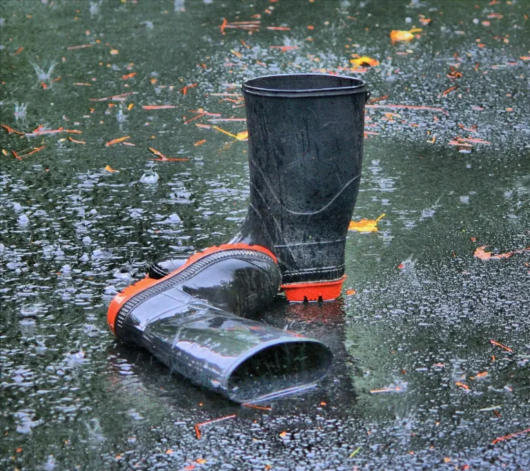 muddy — boueux