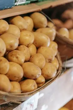 krompir — pomme de terre