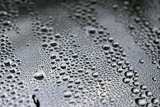 утренняя роса — Morning dew