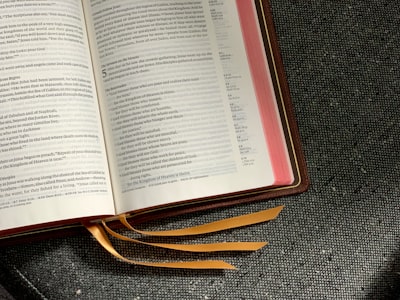 Translation of the text — traduction du texte