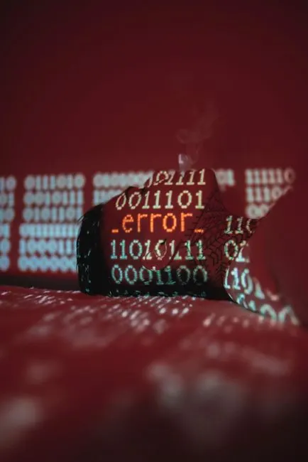 Programmfehler — eroare de program