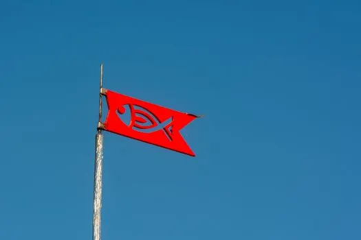 Рыбы — Pisces