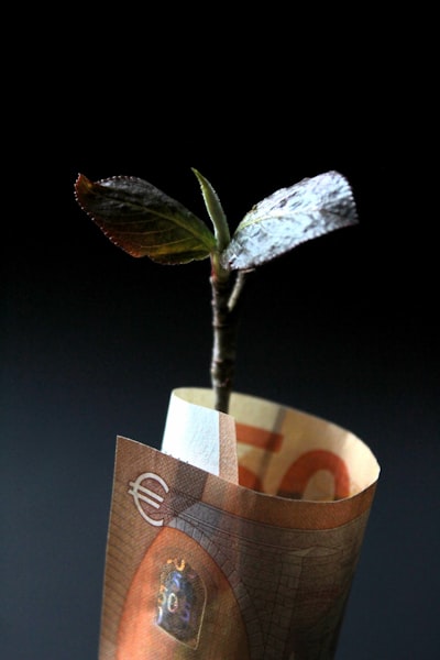 valuation — estimation