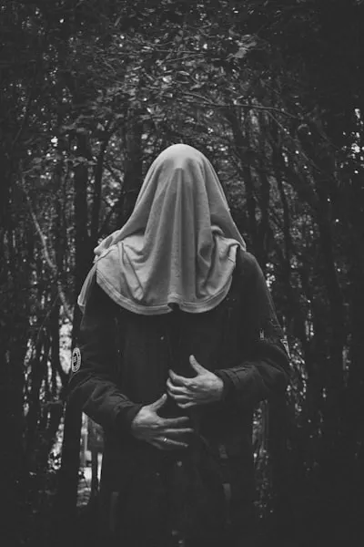 venger — avenge