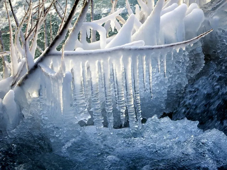 freezes — gèle