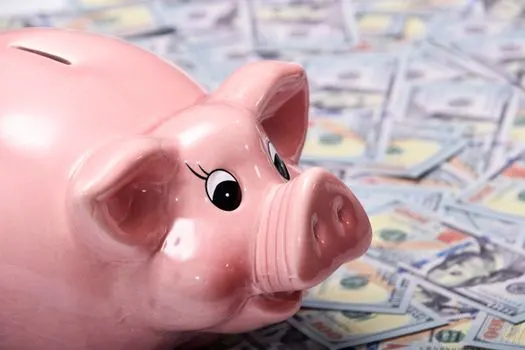 tasarruf hesabı — il conto di risparmio