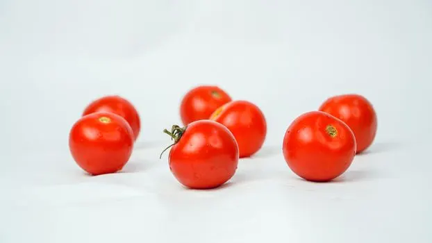Tomate — paradajz