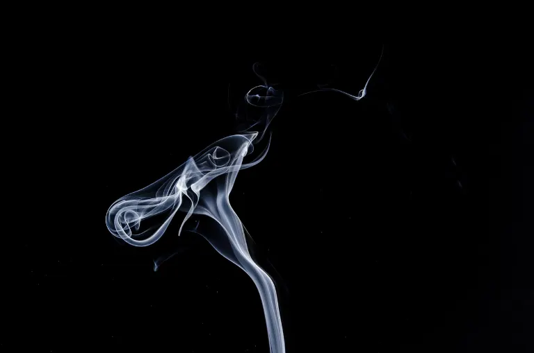 wisp — filet