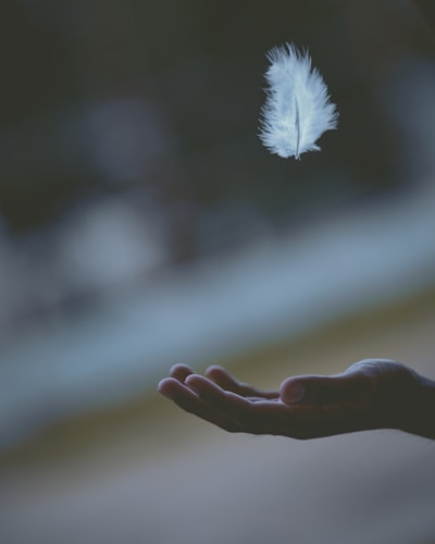 tranquil — paisible