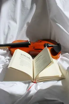 Скрипка — Fiddle