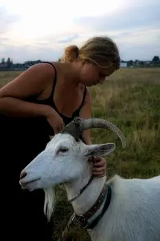 Коза — Goat