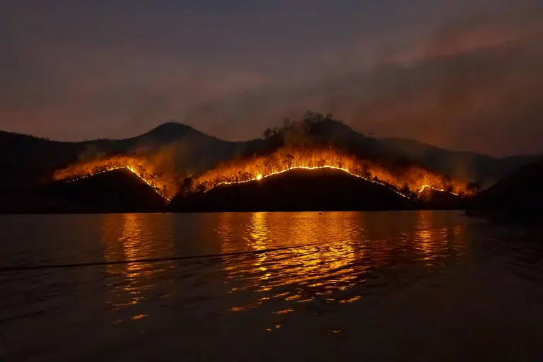 wildfire — incendie de forêt