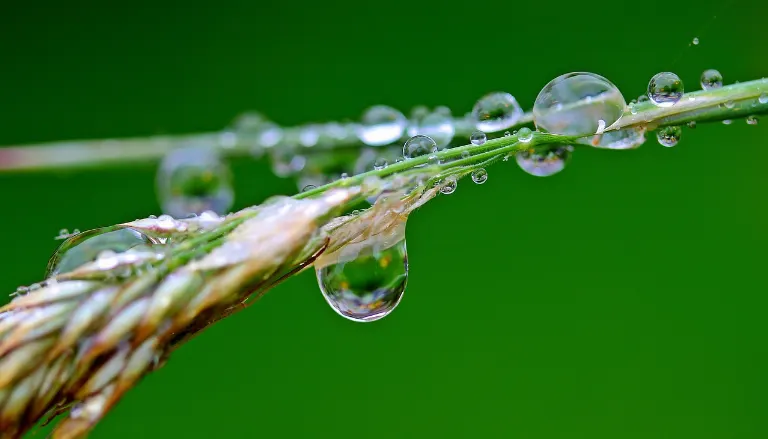 moisture — humedad