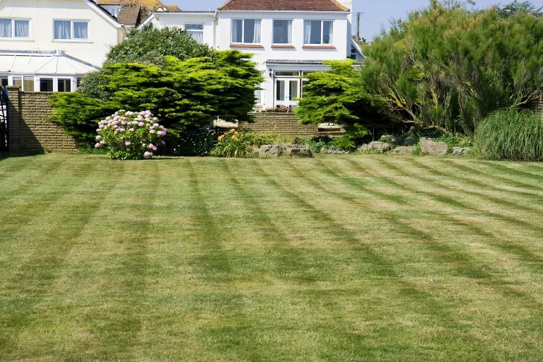 yard — cour