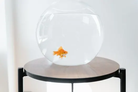 аквариум — Fish tank