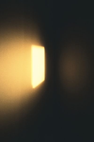 égayer — brighten