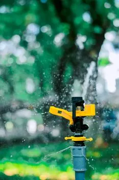 дождеватель — sprinkler